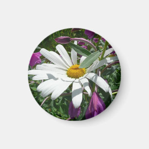 Aimant Fleur sauvage Daisy et Fireweed