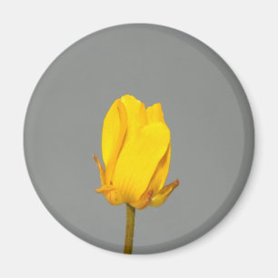 Aimant Fleur sauvage jaune