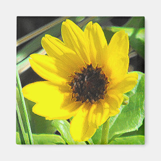 Aimant Fleur sauvage jaune