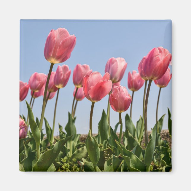 Aimant Fleurs (Devant)