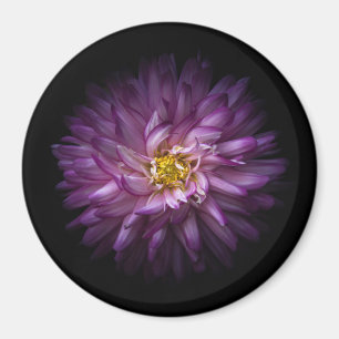 Aimant Fleurs 20