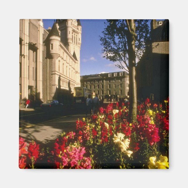 Aimant Fleurs d'Aberdeen (Devant)
