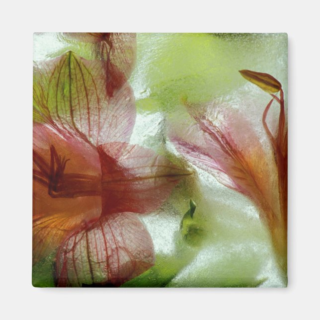 Aimant Fleurs dans la glace (Devant)