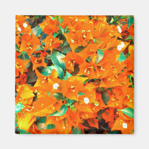 Aimant Fleurs de bougainvillée orange vibrant