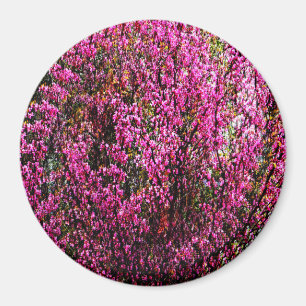 Aimant Fleurs de bourgeons rouges......