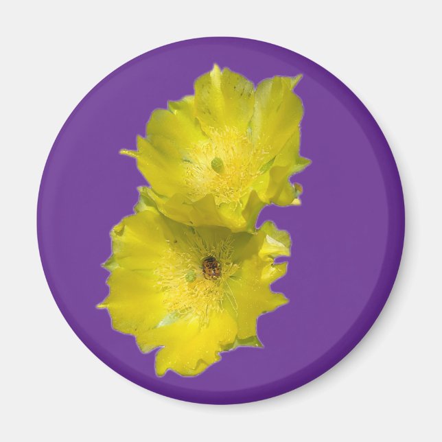 Aimant Fleurs de cactus (Devant)
