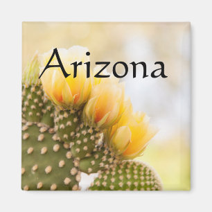 Aimant Fleurs de cactus jaunes en fleur, Arizona
