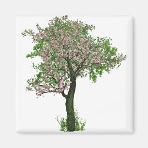Aimant Fleurs de cerise en fleurs Branches d'arbre Feuill