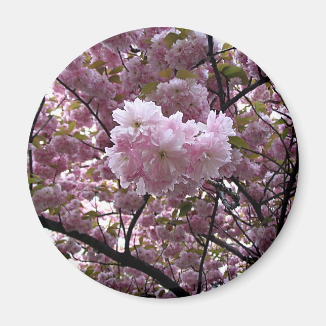 Aimant Fleurs de cerisiers (Devant)