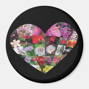 Aimant Fleurs_de_coeur
