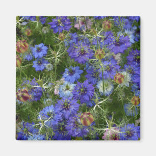 Aimant Fleurs de corail bleu
