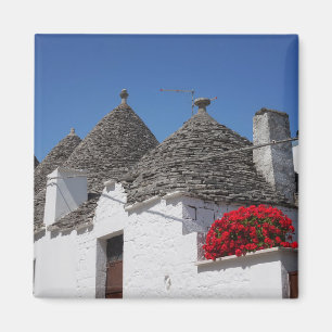 Aimant Fleurs de géranium et maisons de trulli à Alberobe
