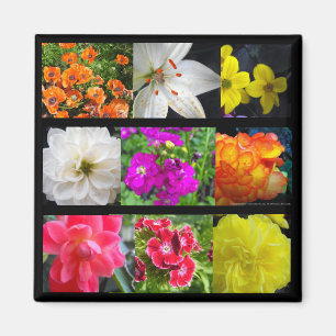 Aimant fleurs de jardin colorées