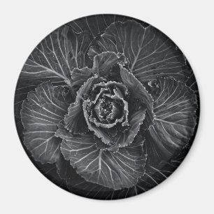 Aimant Fleurs De jardin En Noir Et Blanc No 108