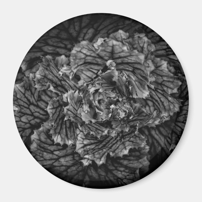 Aimant Fleurs De jardin En Noir Et Blanc No 42 (Devant)