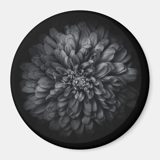 Aimant Fleurs De jardin En Noir Et Blanc No 68 (Devant)