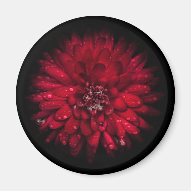 Aimant Fleurs de Jardin N° 45 Version Couleur (Devant)