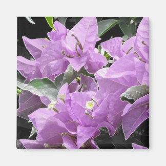 Aimant Fleurs de lavande