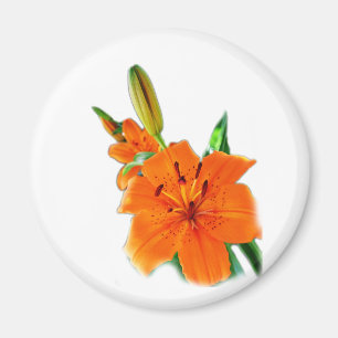 Aimant fleurs de lys dorées
