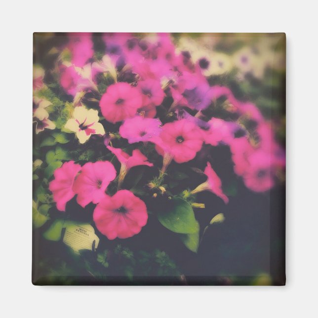 Aimant Fleurs de magasin d'alimentation (Devant)