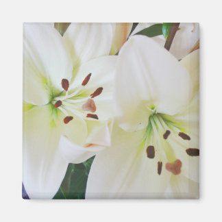 Aimant Fleurs de mariage blanches Enregistrer la date Aim