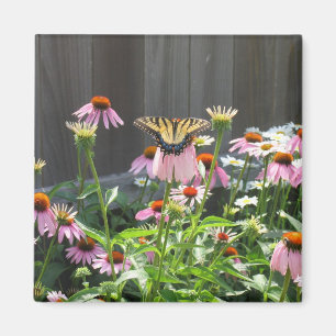 Aimant Fleurs de papillon et de cône