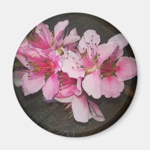 Aimant Fleurs de pêche