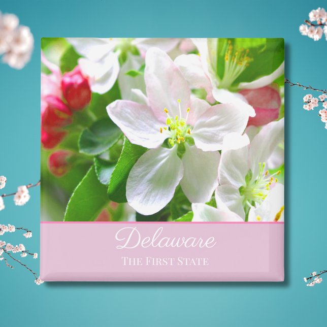 Aimant Fleurs de pêcher du Delaware Premier État (Créateur téléchargé)