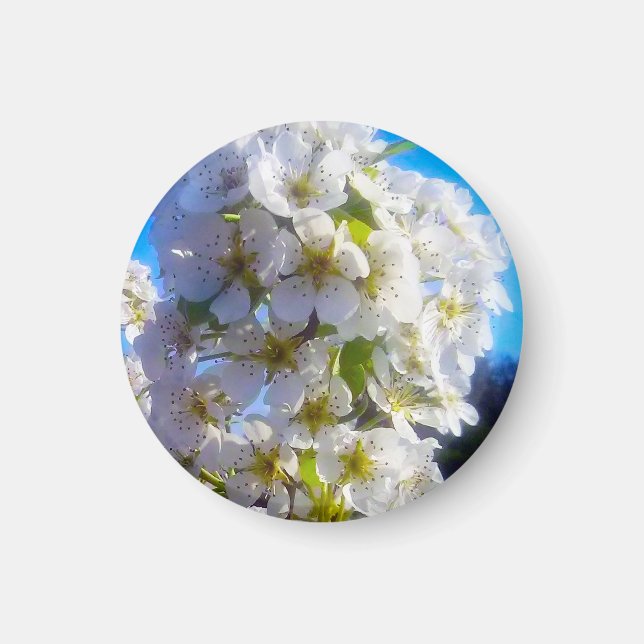 Aimant Fleurs de poires (Devant)