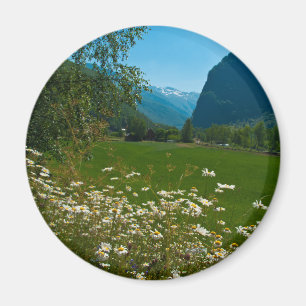 Aimant Fleurs de ressort de la Norvège