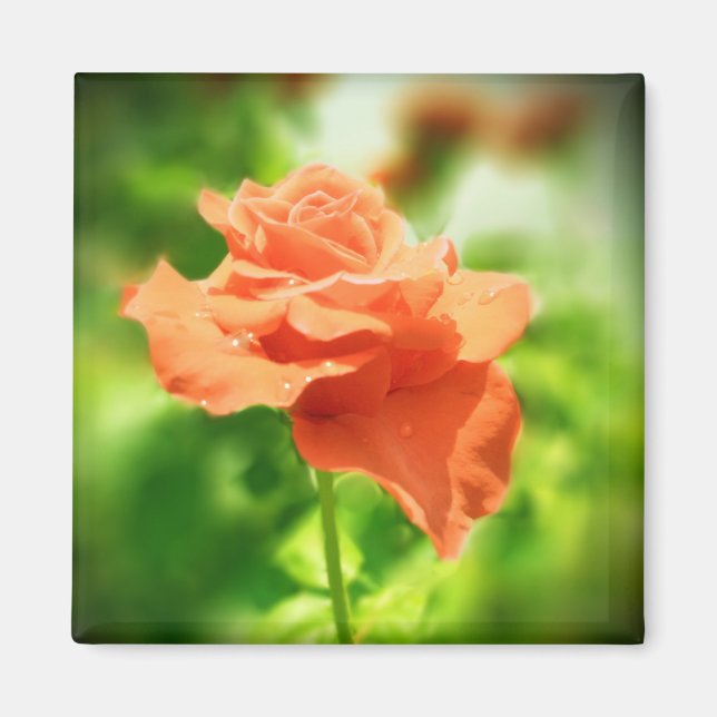 Aimant Fleurs de rose romantiques #2 (Devant)