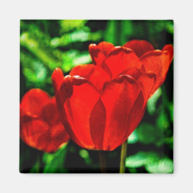 Aimant Fleurs de tulipes rouges (Devant)