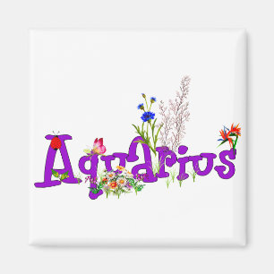 Aimant Fleurs de Verseau