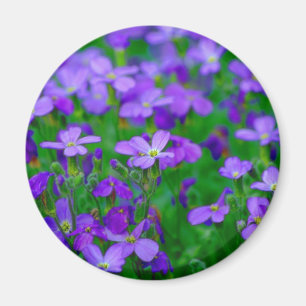 Aimant Fleurs de Violet