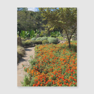 Aimant Fleurs du Jardin de Thé