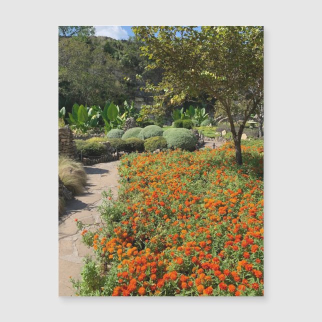 Aimant Fleurs du Jardin de Thé (Devant)