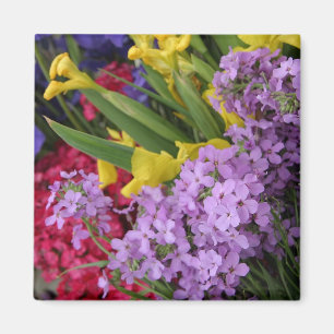 Aimant Fleurs en plusieurs couleurs