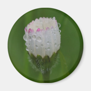 Aimant Fleurs et gouttes d'eau