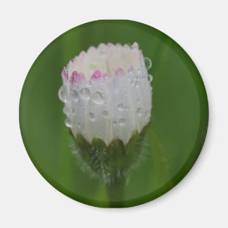 Aimant Fleurs et gouttes d'eau