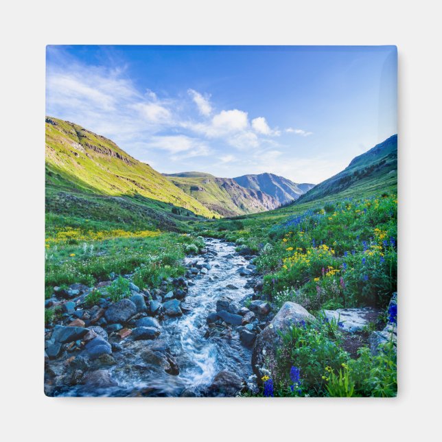 Aimant Fleurs | Fleurs sauvages en Colorado (Devant)