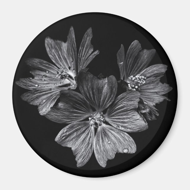 Aimant Fleurs jardins En Noir Et Blanc No 11 (Devant)