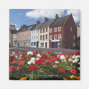 Aimant Fleurs le long d'une rue dans une zone