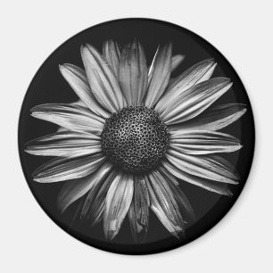 Aimant Fleurs Noires Et Blanches 18