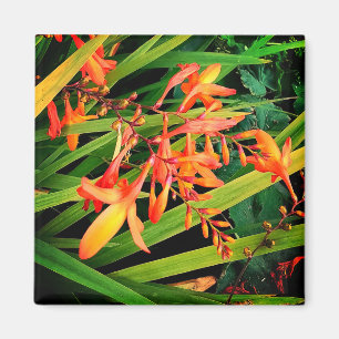Aimant Fleurs orange