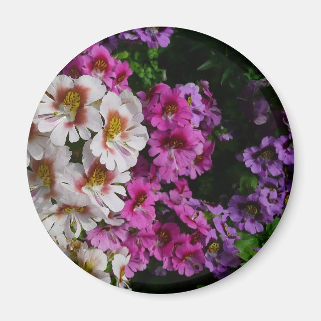 Aimant Fleurs papillon rose blanc et violet (Devant)