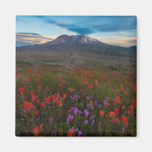 Aimant Fleurs   Pinceau indien & Penstemon