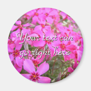 Aimant Fleurs Pink Phlox