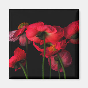 Aimant Fleurs   Poppies rouges