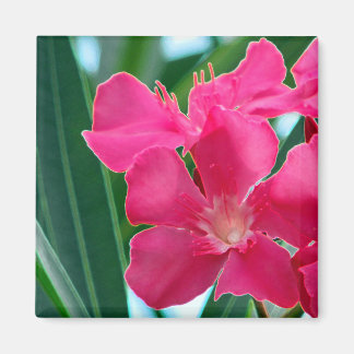 Aimant Fleurs roses