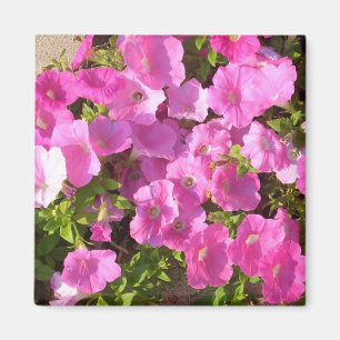 Aimant Fleurs roses